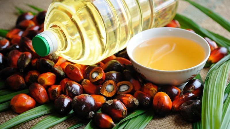 8 Benefits of Palm Oil for Health, Prevent Brain Disease