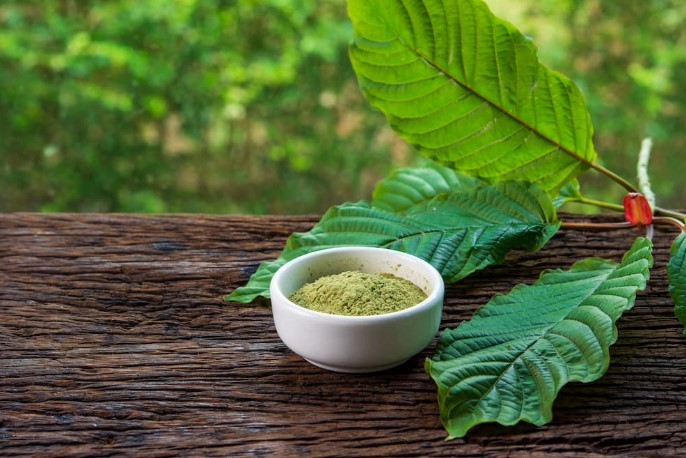 Red Bali Kratom: The Science Behind its Alkaloids and Effects