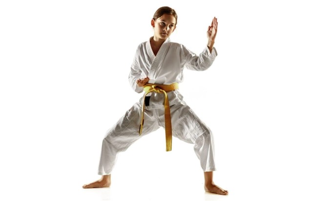 Yellow Belt